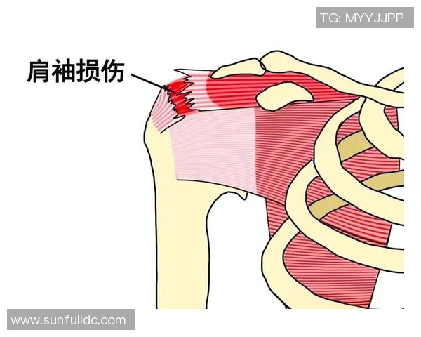 有氧运动的科学原理与实践方法探讨：提升心肺功能与健康的全面指南