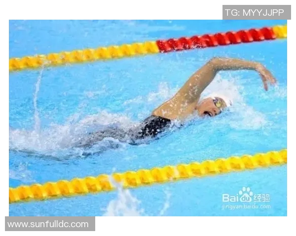 自由泳技巧全面提升课程 从基础动作到高阶训练全程指导